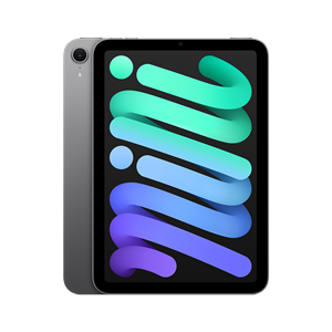 iPad mini (2024) [Special Order]